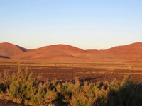 12_Sossusvlei_0150.jpg