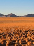 12_Sossusvlei_0190.jpg