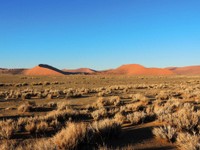 12_Sossusvlei_0250.jpg