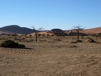 12_Sossusvlei_0431.jpg