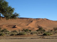 12_Sossusvlei_0450.jpg