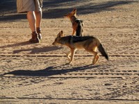 12_Sossusvlei_0490.jpg