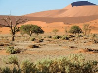 12_Sossusvlei_0610.jpg