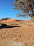 12_Sossusvlei_0760.jpg