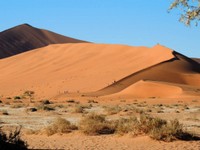 12_Sossusvlei_0790.jpg