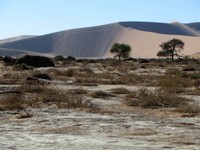 12_Sossusvlei_0798.jpg