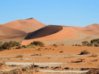 12_Sossusvlei_0910.jpg