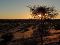 18_Kalahari_0760.jpg