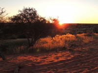 18_Kalahari_0850.jpg