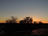 18_Kalahari_0880.jpg