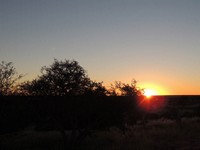 18_Kalahari_0940.jpg