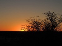 18_Kalahari_1000.jpg