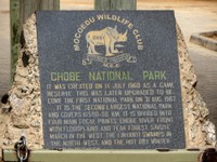 21_Chobe_0005.jpg