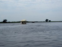 21_Chobe_4240.jpg