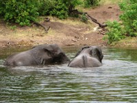 21_Chobe_4720.jpg