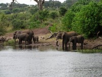 21_Chobe_4810.jpg