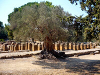 SZ_Agrigento_070.jpg