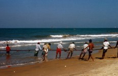 Negombo_06_1000.jpg