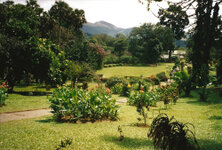 Kandy_01_1000.jpg