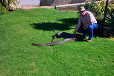 SA_Oudtshoorn_10_1000.jpg