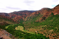 SA_Oudtshoorn_20_1000.jpg