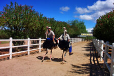 SA_Oudtshoorn_55_1000.jpg