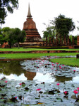 Sukothai_110_1000.jpg