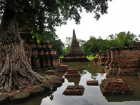 Sukothai_251_1000.jpg