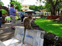 2_Lopburi_Affent_260_1000.jpg