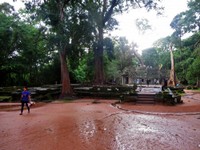 2_Ta_Prohm_004_1000.jpg