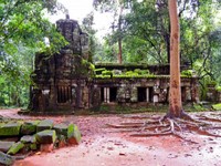 2_Ta_Prohm_020_1000.jpg