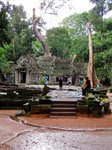 2_Ta_Prohm_030_1000.jpg