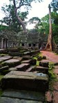 2_Ta_Prohm_032_1000.jpg