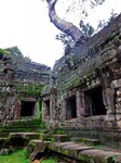 2_Ta_Prohm_052_1000.jpg