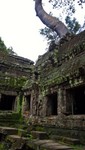 2_Ta_Prohm_055_1000.jpg