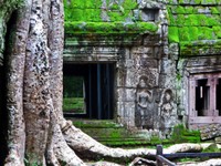 2_Ta_Prohm_066_1000.jpg