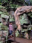 2_Ta_Prohm_100_1000.jpg