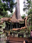 2_Ta_Prohm_110_1000.jpg