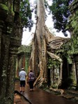 2_Ta_Prohm_150_1000.jpg