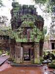 2_Ta_Prohm_170_1000.jpg