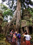 2_Ta_Prohm_200_1000.jpg