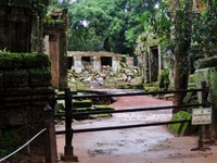 2_Ta_Prohm_270_1000.jpg