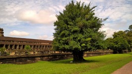 1_Angkor_Wat_230_1000.jpg