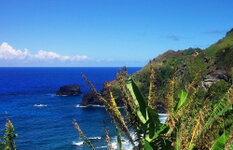 08_KF_Pitcairn_350.jpg