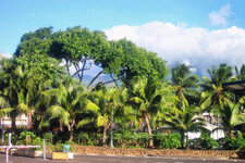 12_KF_Tahiti_1130.jpg