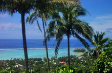 14_KF_Rarotonga_710.jpg