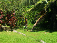 14_KF_Rarotonga_870.jpg