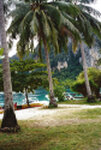 Phi Phi Islands