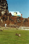 Der Affen-Tempel in Lopburi