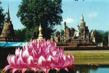 Sukothai